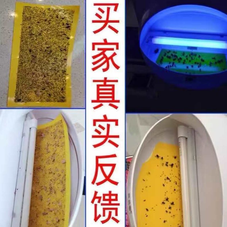 直销100张装粘捕式灭蚊蝇灯粘蝇板灭蚊纸粘虫纸苍蝇贴粘蝇纸家用