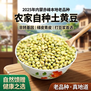 农家自种土黄豆2025年内蒙赤峰本地老品种非转基因绿皮青皮打豆浆