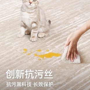 家用客厅美高级卧室沙发风轻奢防水防缔奢奶油污床边毯茶几垫地毯