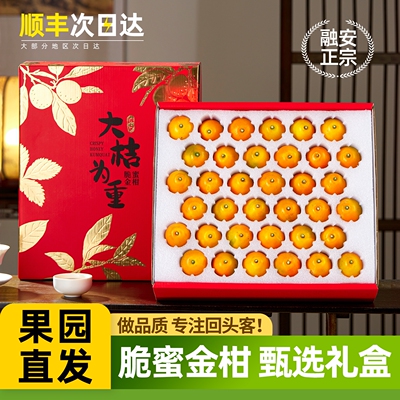 正宗融安脆蜜金桔礼盒装甄选