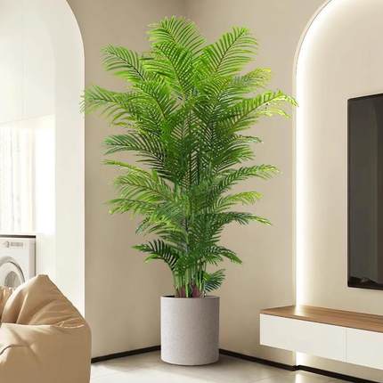 散尾葵植物盆栽客厅室内大型绿植落地花办公室仿真盆景旺宅树禄植