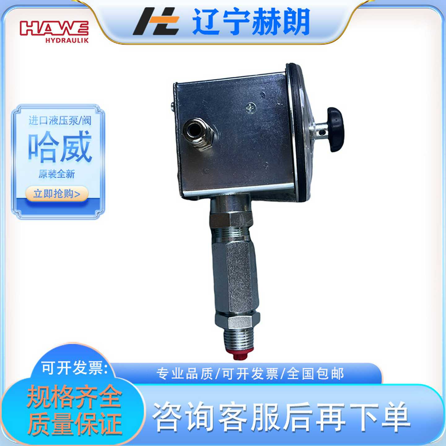 原装全新DG1RF压力表 德国HAWE进口品牌压力表 液压泵压