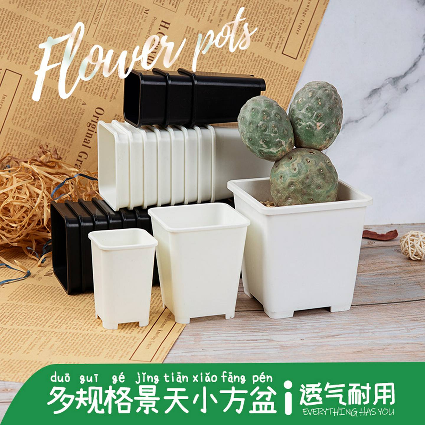 多肉花盆迷你小白方花盆塑料小黑方景天7方盆加厚拇指盆小号高盆