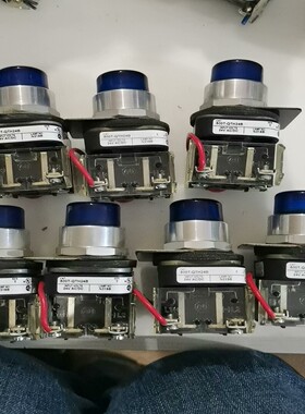 【请询价】美国Allen-Bradley蓝色带灯按钮800T-QTH2