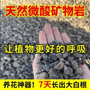 微酸矿物岩颗粒土养花专用小石子兰花铺面天然黑色火山石酸性