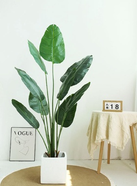 北欧风仿真绿植旅人蕉盆栽室内家居装饰摆件假树美人蕉天堂鸟植物