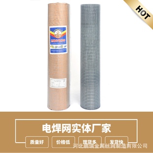 13mm孔热镀锌电焊网十年不生锈养殖网镀锌铁丝网 厂家现货1.0mm
