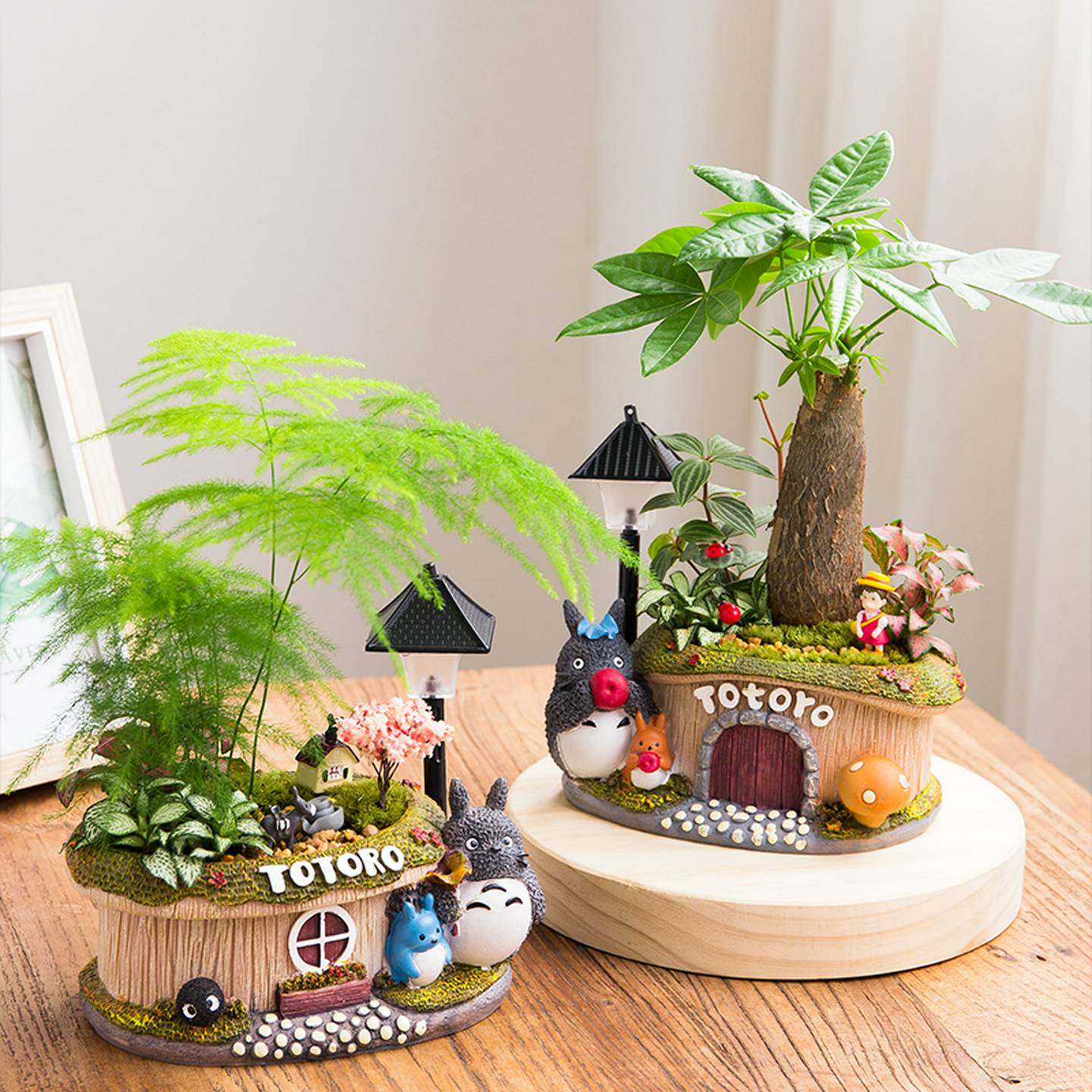 发财树桌面小盆栽植物微型盆景小摆件微景观室内客厅喜阴植物盆栽