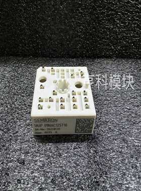 询价SKIIP09NAC125T10SkiiP09NAC125