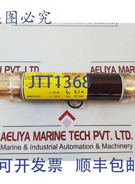 供应Siba 300021363 高压后备保险丝 372KV 22A 63KA