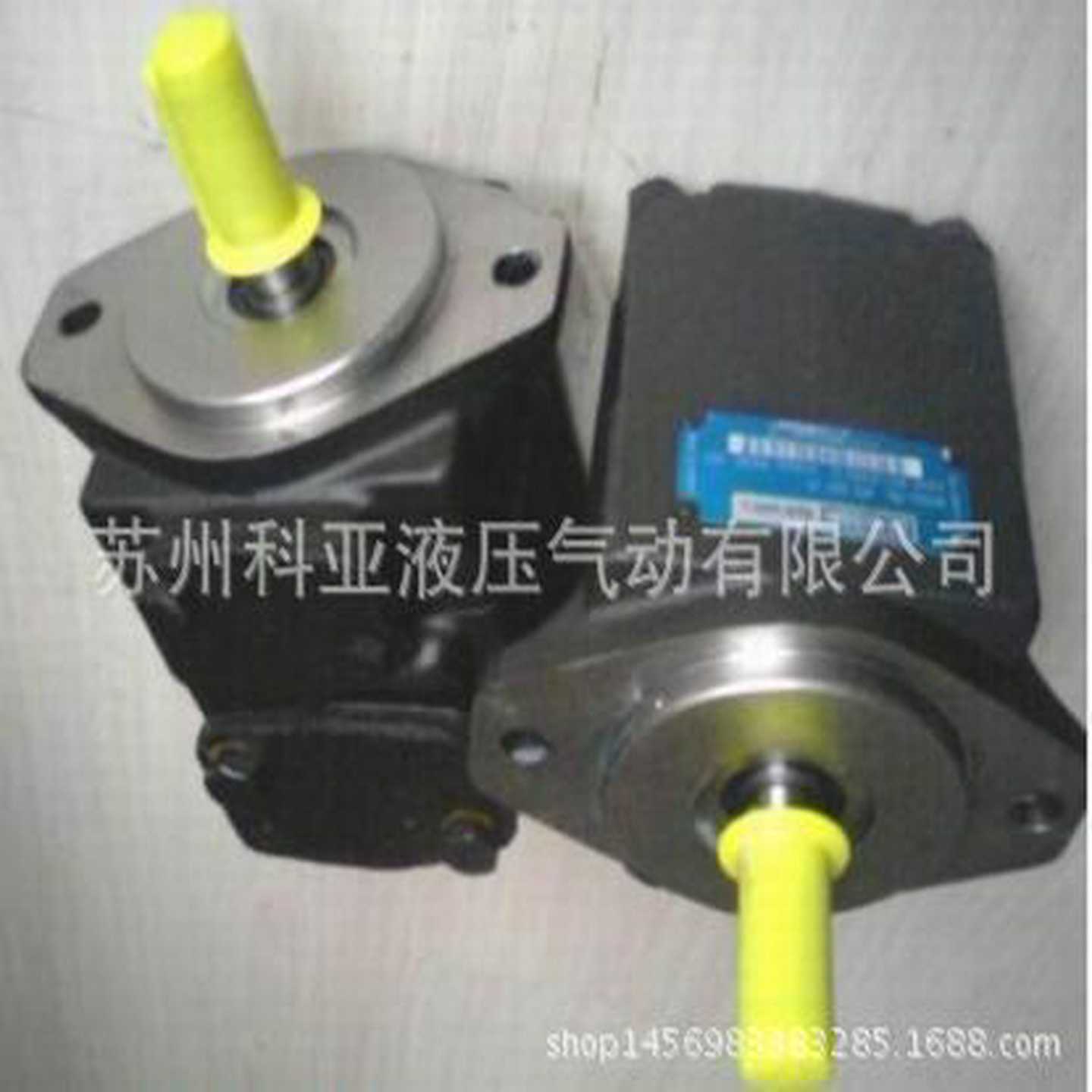 美国丹尼逊DENISON叶片泵T6CW-025-017-2R01-C100欢迎询价