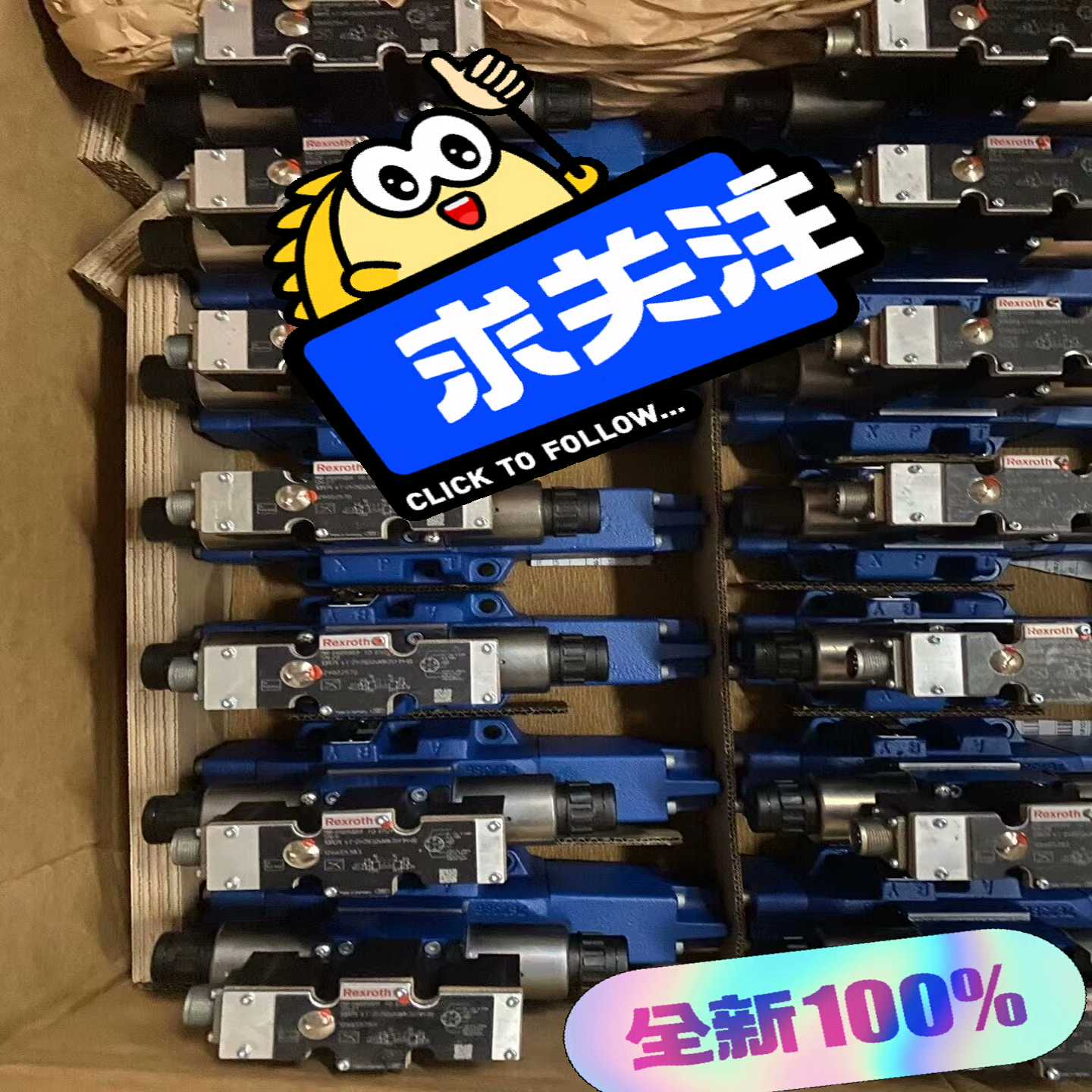 Rexroth，R900423729DBDS6P1X/20询价