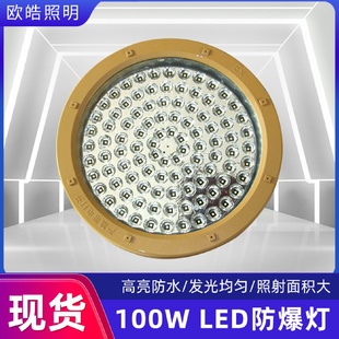 防爆燈100瓦庭院投光燈戶外LED防爆投光燈廠房倉庫路燈