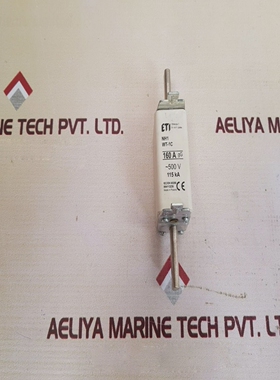 Etinh1wt-1c160afuselink