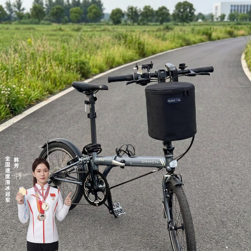 适用大行捷安特迪卡侬折叠车车筐