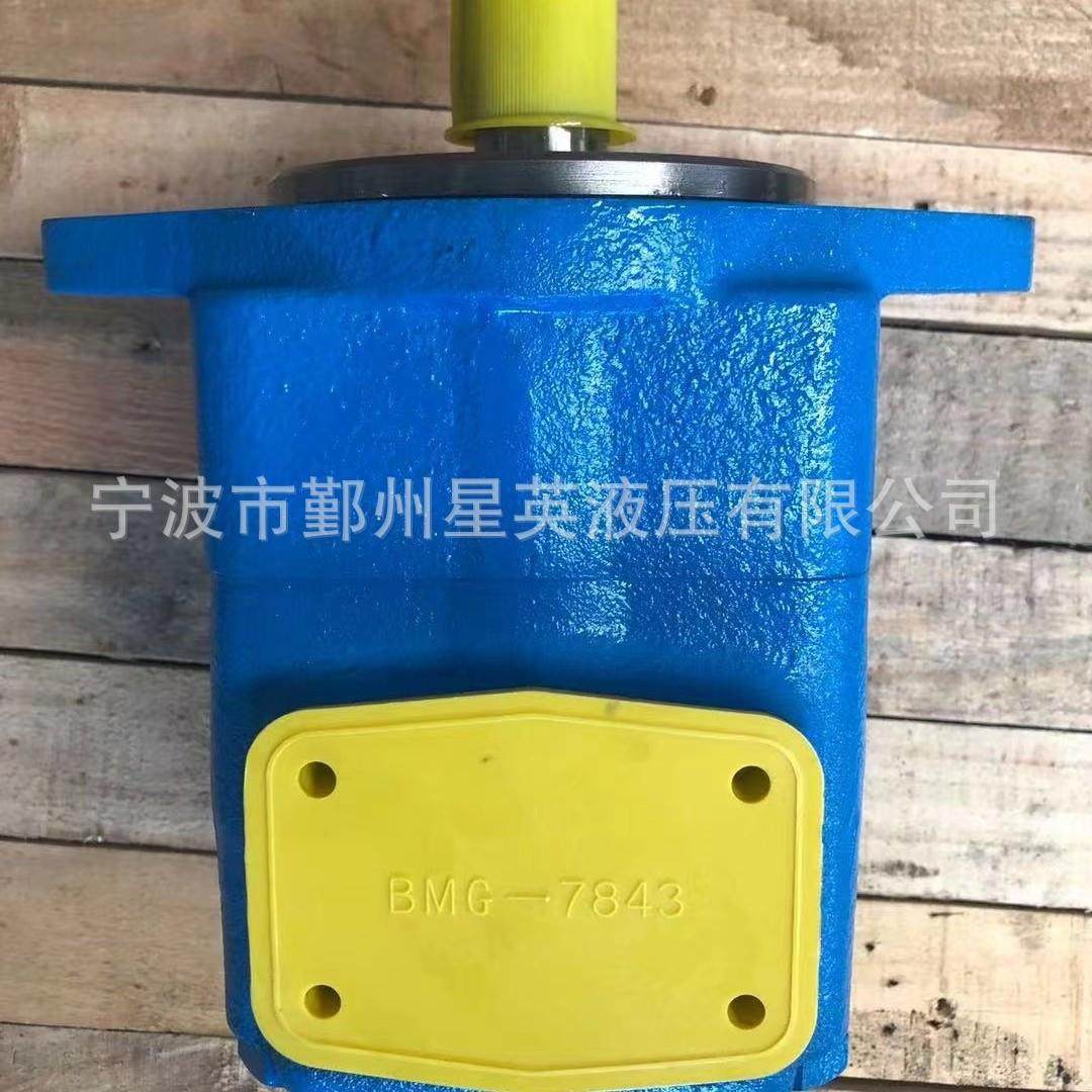 威格士20V 25V 35V 45V 2520V 3525V 4535齿轮泵补油泵双泵叶片泵,标准件/零部件/工业耗材,液压泵,淘宝优惠券,粉丝福利购,淘宝优惠卷