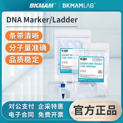 比克曼生物DNAMarker/Ladder