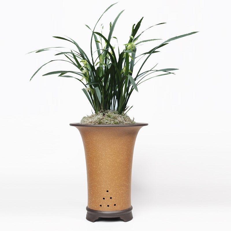 蔓木人紫砂宜兴紫砂花盆大兰花盆圆口精品手工桌面建兰春兰包邮,童装/婴儿装/亲子装,儿童装饰手表,淘宝优惠券,粉丝福利购,淘宝优惠卷