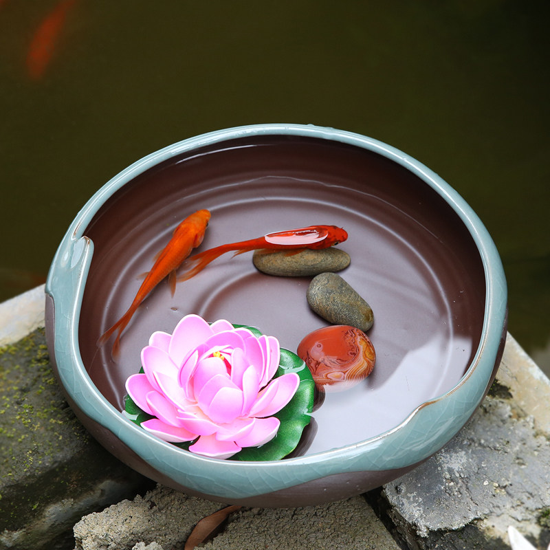 水仙花盆陶瓷清仓无孔水培容器铜钱草碗莲睡莲多肉家用特大号拼盘,童装/婴儿装/亲子装,儿童装饰手表,淘宝优惠券,粉丝福利购,淘宝优惠卷