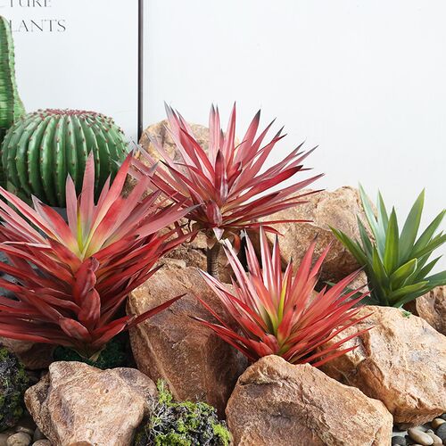 仿真红叶剑兰盆栽沙生植物防真龙舌兰剑麻热带沙漠绿植造布景装饰