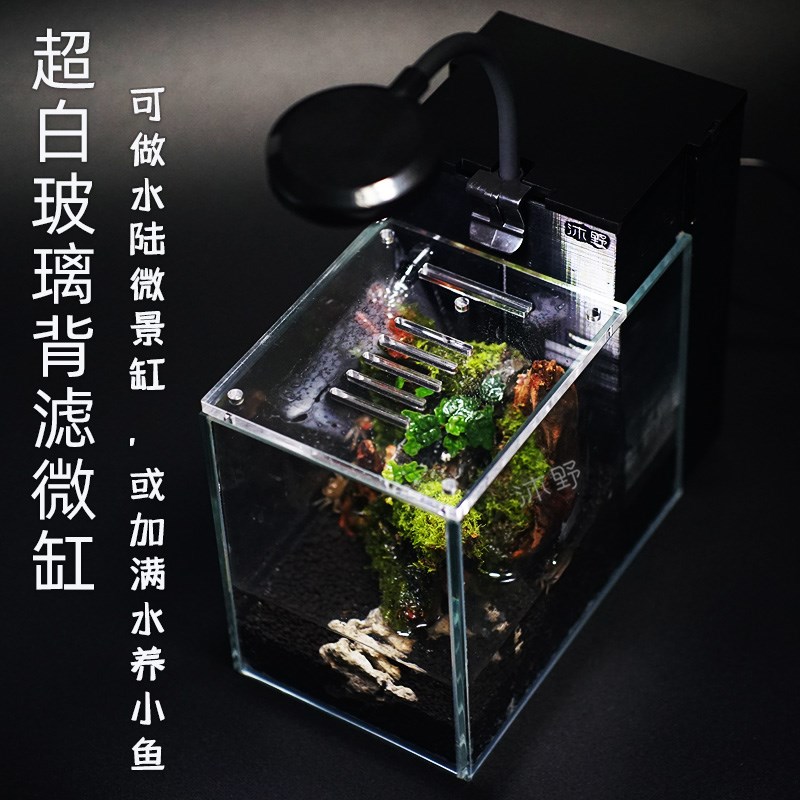 沐野漾迷你背滤微缸辣椒螃蟹缸溪流水陆微景观海藻球青苔藓生态缸