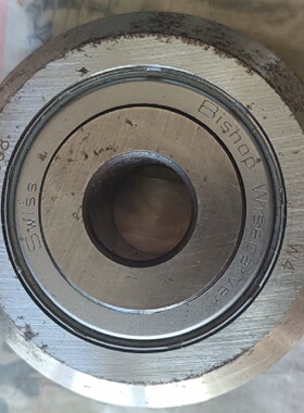 议价Bishop Wisecarver  Swiss  F608 W4