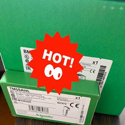 TM5SAO4L TM5SAO2L 施耐德模拟量输入模块全新