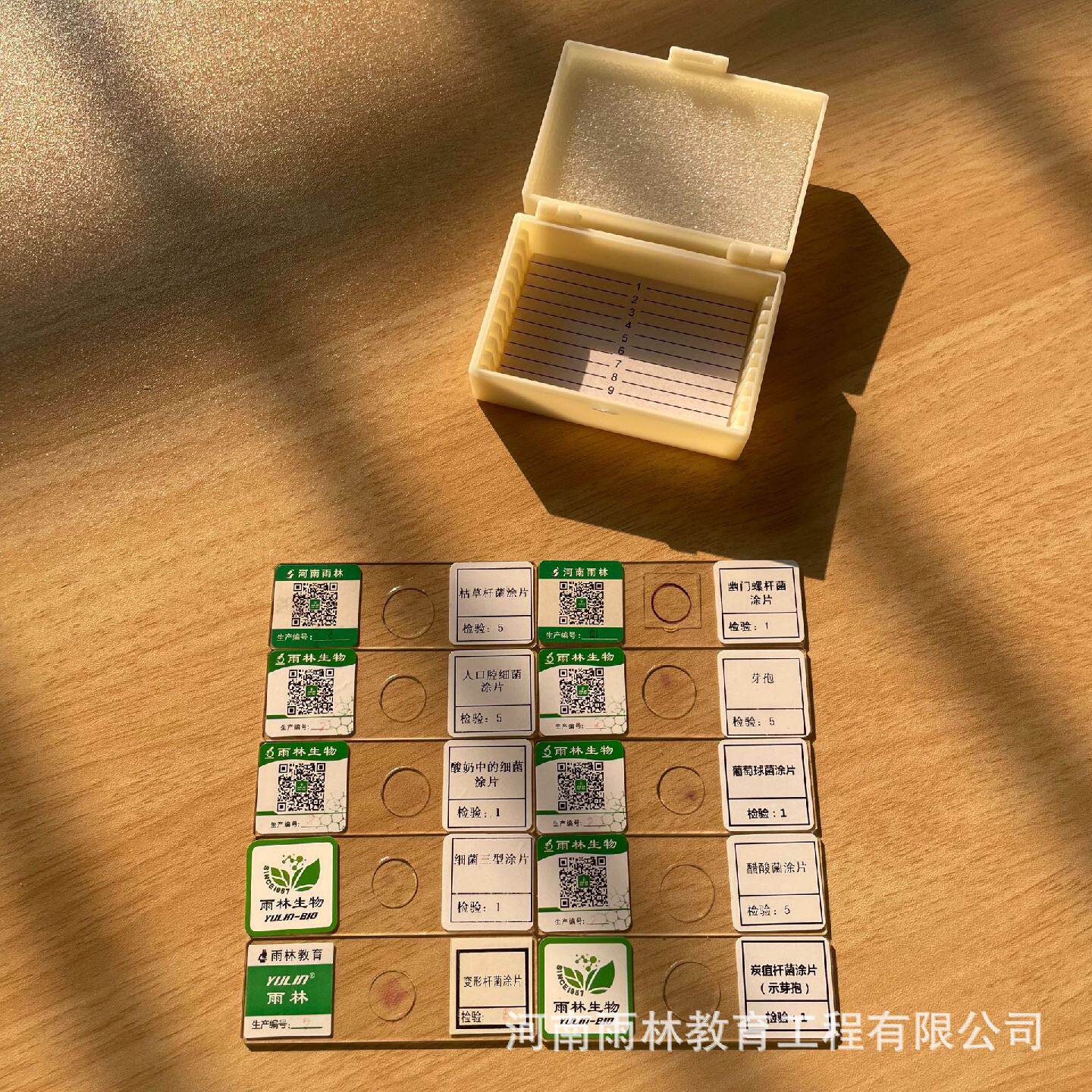生物显微镜标本切片动物组胚切片载玻片儿童观察实验套装教具学生
