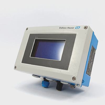 EndressHauser RIA16BA2A Indicateur De Processus RIA16