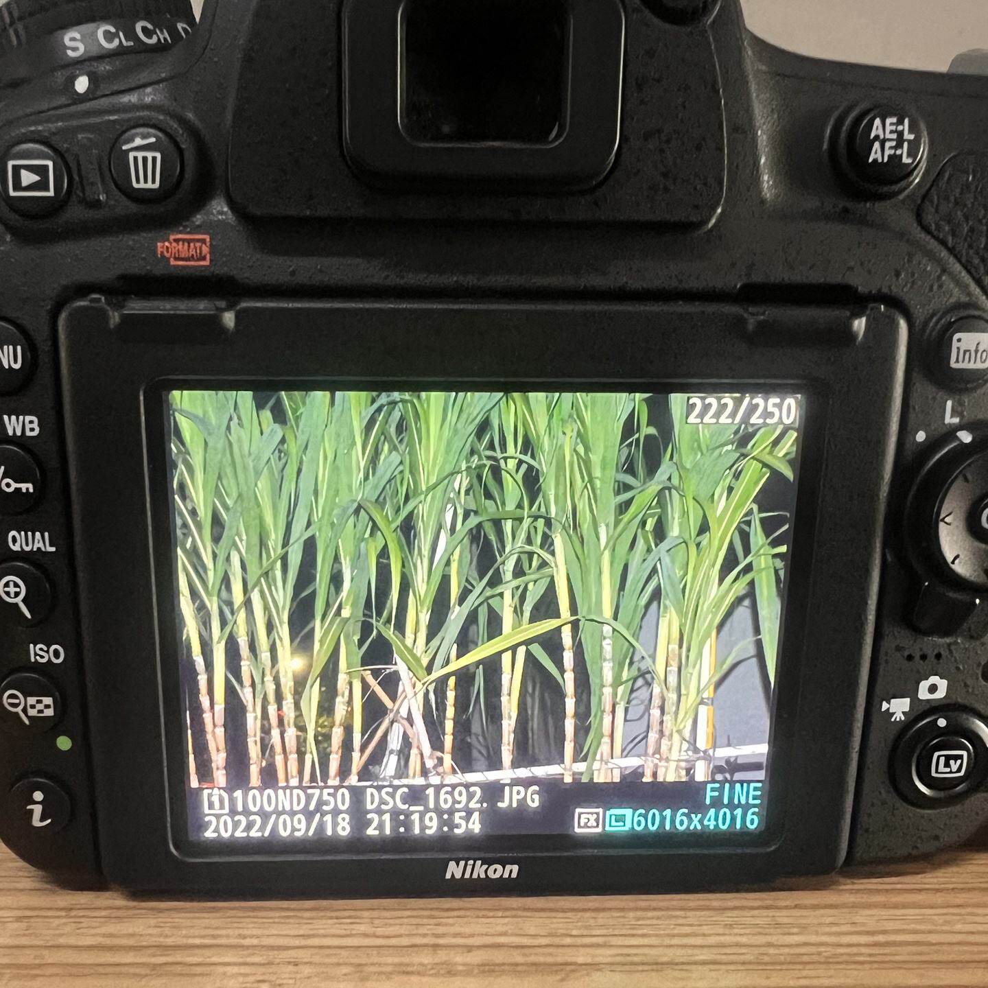 【议价】d750 28-300 全新/二手均有货