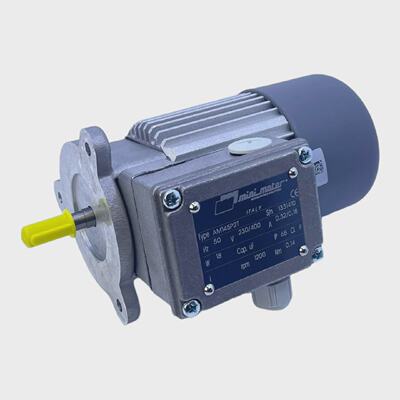 Mini Motor AM145P2T Electric Motor 230400V 50Hz 032018A 18W