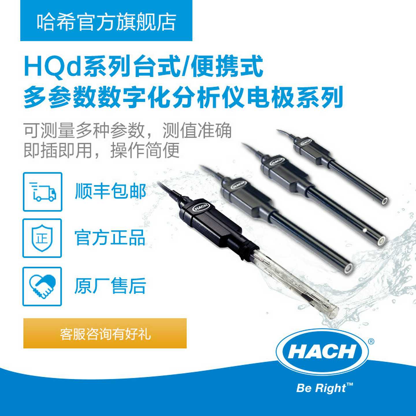 HACH/qd系列氟离子氯/氨/铵/硝酸根/钠离子-离子电极系列
