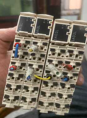 议价可维修扩展模拟量模块TM5SAI2L(2个）TM5SAO2L