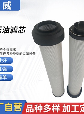 液压油滤芯N100DM005U/FA-D厂家现货液压滤芯过滤器滤筒除杂质