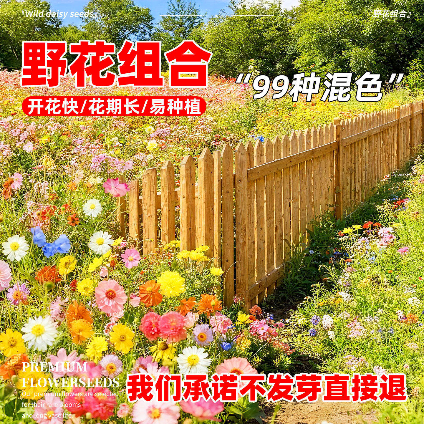 野花组合花籽四季好活格桑花种籽百日草耐寒多年矮生波斯菊花种子