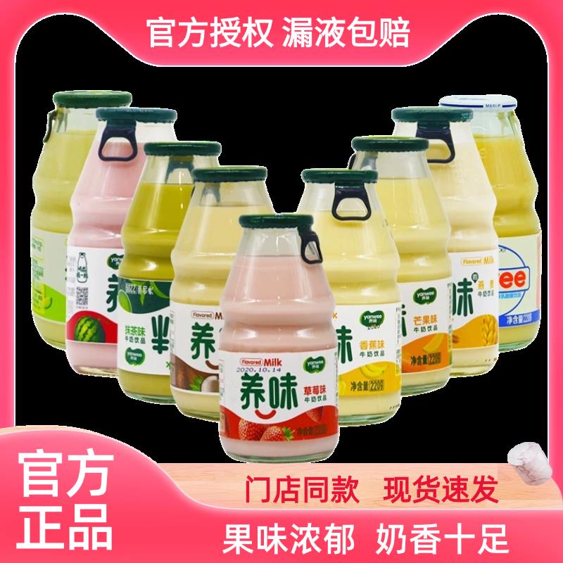 养味牛奶饮品220g*6瓶乳酸菌芒果草莓香蕉整箱15瓶学生早餐奶饮料