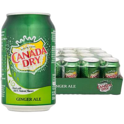 加拿大干姜水 Canada dry Ginger Ale姜汁汽水干姜水生姜水气泡水