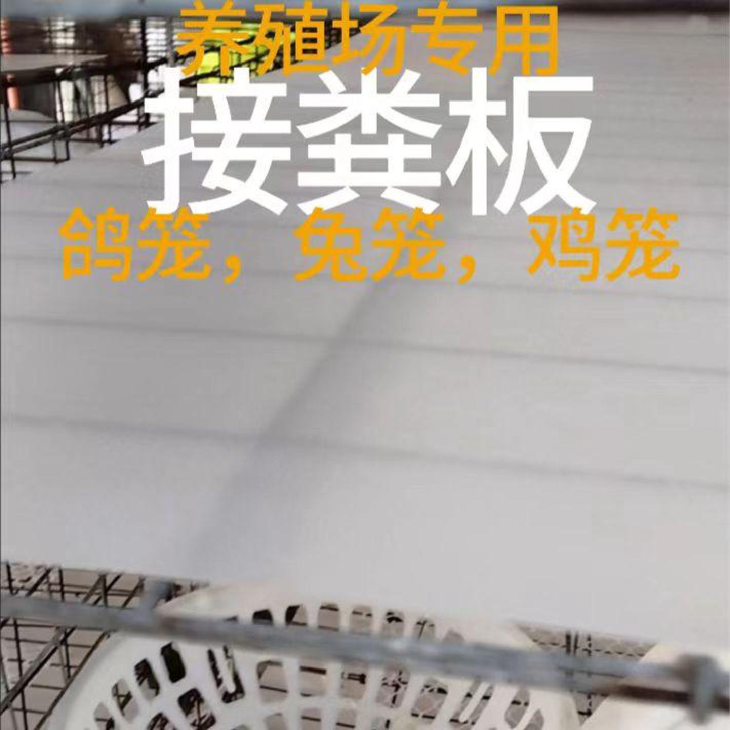 养殖接粪板鸡用兔笼托粪板鸡窝垫板鸽子笼接粪板塑料鹌鹑挡粪板