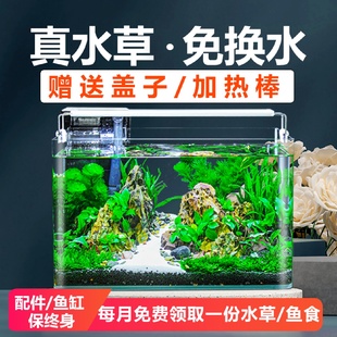 桌面家用小型金鱼缸全套造景真水草生态免换水缸 鱼缸客厅2023新款