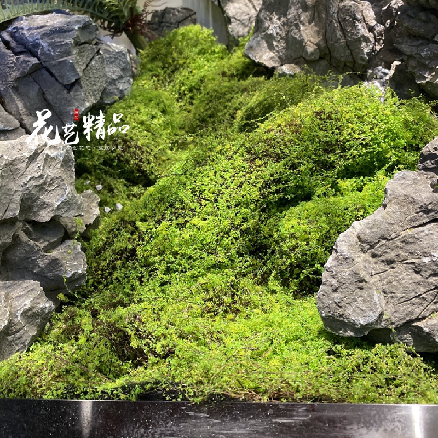 苔藓片仿真苔藓块假山装饰毛石头堆青苔植绒山丘软装造景草皮草坪