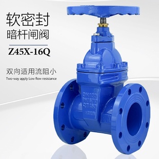 Z45X德标球磨铸铁闸阀明杆法兰软密封阀门暗杆DN弹性橡胶座封闸阀