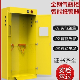 实验气体检测专用柜全钢防爆气瓶柜智能商用煤气罐柜检测报警柜