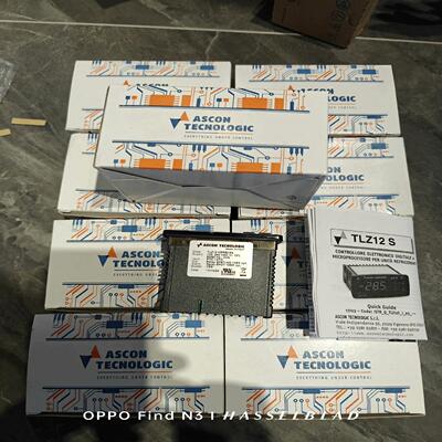（艺易商行）意大利ASCON温控器，TLZ12HRRB16S