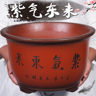 宜兴紫砂花盆大号绿萝花盆大口径种树特大号陶瓷花盆清赵之孙