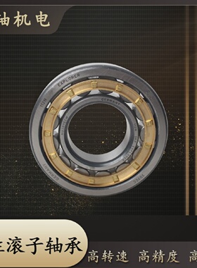 ZWZ圆柱轴承N NU NJ303 304 305 306 307 308 309 310 311EMC3