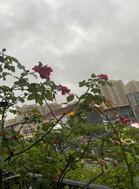 6av6646-1ba18-0na0询价