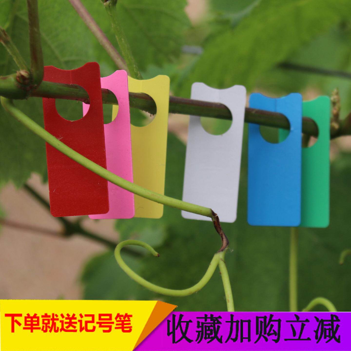 树苗挂牌防水标签环套记号牌水果西瓜实验色卡标记牌分色标识牌