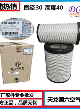 1109910-H12B0东风天龙旗舰国六空气滤芯3040空气滤清器AF04393