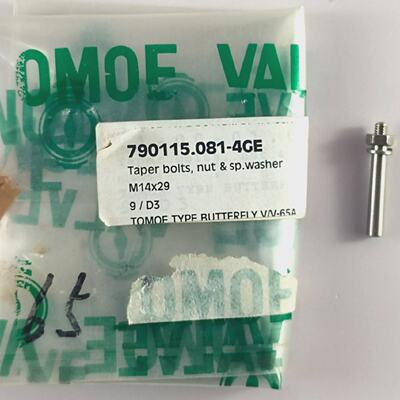 Bulloni Conici Dado E Rondella Sp. 790115.0814GE Tipo Tomoe