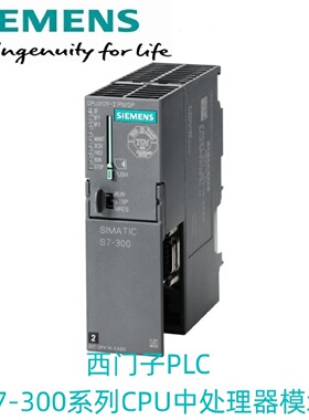 议价西门子CPU 313C 314C 315 317 319 2 DP PTP PN S7-300 PLC